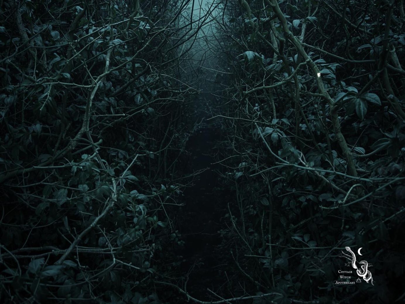 magické houští trnů hlohu májová noc beltane